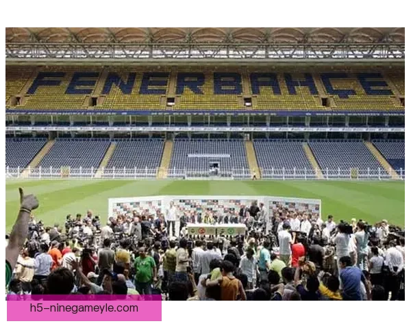 抽象欢迎坎特的费内巴切两球迷